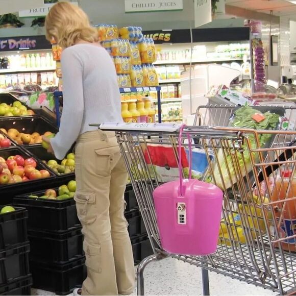 Safego Disney Vacation Club Member Cruise Exclusive Ultimate Portable Safe New - Picture 4 of 16